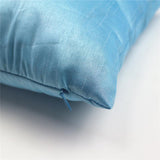 Max Solid Color Super Soft Cozy Velvet Sofa Pillowcover Light Blue_50x50cm - Aladdin Shoppers