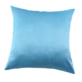 Max Solid Color Super Soft Cozy Velvet Sofa Pillowcover Light Blue_50x50cm - Aladdin Shoppers