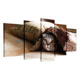 Max Modern 5 Panels Paintings on Canvas Wall Art Landscape Pet Cat