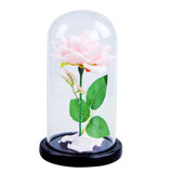 Maxbell dome With Rose Flower Microlandscape Centerpiece Pink