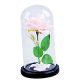 Maxbell dome With Rose Flower Microlandscape Centerpiece Pink