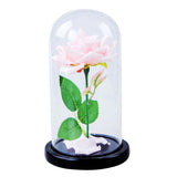Maxbell dome With Rose Flower Microlandscape Centerpiece Pink