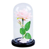 Maxbell dome With Rose Flower Microlandscape Centerpiece Pink