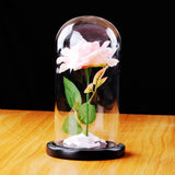 Maxbell dome With Rose Flower Microlandscape Centerpiece Pink