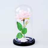 Maxbell dome With Rose Flower Microlandscape Centerpiece Pink