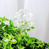 Max Plant Waterer Ball Shape Self Watering Globes Mini Durable Glass Bulbs