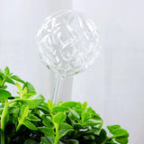 Max Plant Waterer Ball Shape Self Watering Globes Mini Durable Glass Bulbs