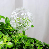 Max Plant Waterer Ball Shape Self Watering Globes Mini Durable Glass Bulbs