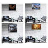 Max Maxb DIY Animal Craft 5D Diamond Painting Embroidery Cross Stitch Kits Rooster