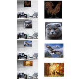 Max Maxb DIY Animal Craft 5D Diamond Painting Embroidery Cross Stitch Kits Rooster