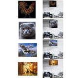 Max Maxb DIY Animal Craft 5D Diamond Painting Embroidery Cross Stitch Kits Rooster