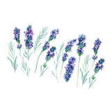 Max Lovely Cartoon Wall Stickers Peel and Stick Wall Decals Style-07