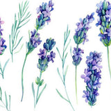Max Lovely Cartoon Wall Stickers Peel and Stick Wall Decals Style-07