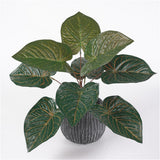 Max 9 Heads Artificial Epipremnum Aureum Devils Ivy Plant Red/Green Back Red Back