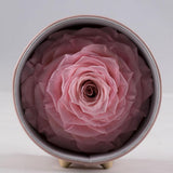 Max Finished Preserved Flower Round Hollow-out Leather Gift Box Pink