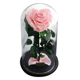 Max Heart-shaped Rose Preserved Flowers Glass Cover with Gift Box Pink
