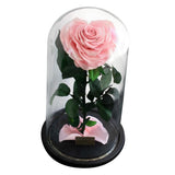 Max Heart-shaped Rose Preserved Flowers Glass Cover with Gift Box Pink