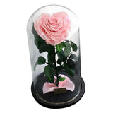 Max Heart-shaped Rose Preserved Flowers Glass Cover with Gift Box Pink