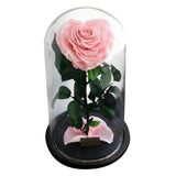 Max Heart-shaped Rose Preserved Flowers Glass Cover with Gift Box Pink