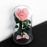 Max Heart-shaped Rose Preserved Flowers Glass Cover with Gift Box Pink