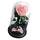 Max Heart-shaped Rose Preserved Flowers Glass Cover with Gift Box Pink