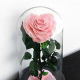 Max Heart-shaped Rose Preserved Flowers Glass Cover with Gift Box Pink
