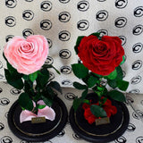 Max Heart-shaped Rose Preserved Flowers Glass Cover with Gift Box Pink