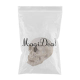 Max 1:1 Mini Realistic Replica Human Skull Resin Skull Skeleton