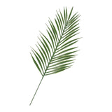 Max Fake Plants Fern Green Leaf Home Garden Decor Areca palm Dark Green