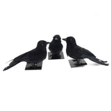 Max Lifelike Artificial Feathered Birds Crow Garden Halloween Decor Photo Props