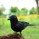 Max Lifelike Artificial Feathered Birds Crow Garden Halloween Decor Photo Props