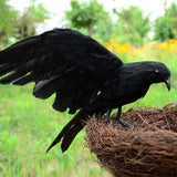 Max Lifelike Simulated Feathered Birds Crow Garden Halloween Decor Photo Props