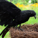 Max Lifelike Simulated Feathered Birds Crow Garden Halloween Decor Photo Props