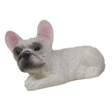 Max Small French Bulldog Model Animal Figure Toy for Home Decoration 02