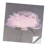 Max Wall Sticker Plant Flower Living Room Bedroom Restaurant Wall Sticker 1