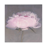 Max Wall Sticker Plant Flower Living Room Bedroom Restaurant Wall Sticker 1