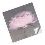 Max Wall Sticker Plant Flower Living Room Bedroom Restaurant Wall Sticker 1