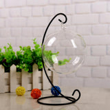 Max Test Tube Flower Vase with Metal Stand for Hydroponic Plant
