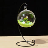 Max Test Tube Flower Vase with Metal Stand for Hydroponic Plant