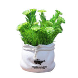 Max Potted  Artificial Daisy Flower Pot Bonsai Fake Plant in Vase Green Flower