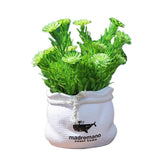 Max Potted  Artificial Daisy Flower Pot Bonsai Fake Plant in Vase Green Flower
