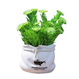 Max Potted  Artificial Daisy Flower Pot Bonsai Fake Plant in Vase Green Flower
