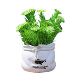 Max Potted  Artificial Daisy Flower Pot Bonsai Fake Plant in Vase Green Flower