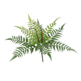 Maxbell Artificial Asplenium Fern Leaf  Plastic Plant for Home Wedding Decor 43cm