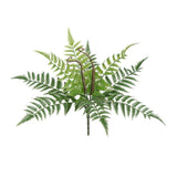 Maxbell Artificial Asplenium Fern Leaf  Plastic Plant for Home Wedding Decor 43cm