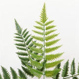 Maxbell Artificial Asplenium Fern Leaf  Plastic Plant for Home Wedding Decor 43cm