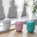 Mini Air Humidifier USB Charging Mist Spray Moisturizing Diffuser Pink