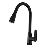 Full Brass Pull Out Kitchen Sink Faucet with Sprayer Dual Mode Diffuser Tap paint black