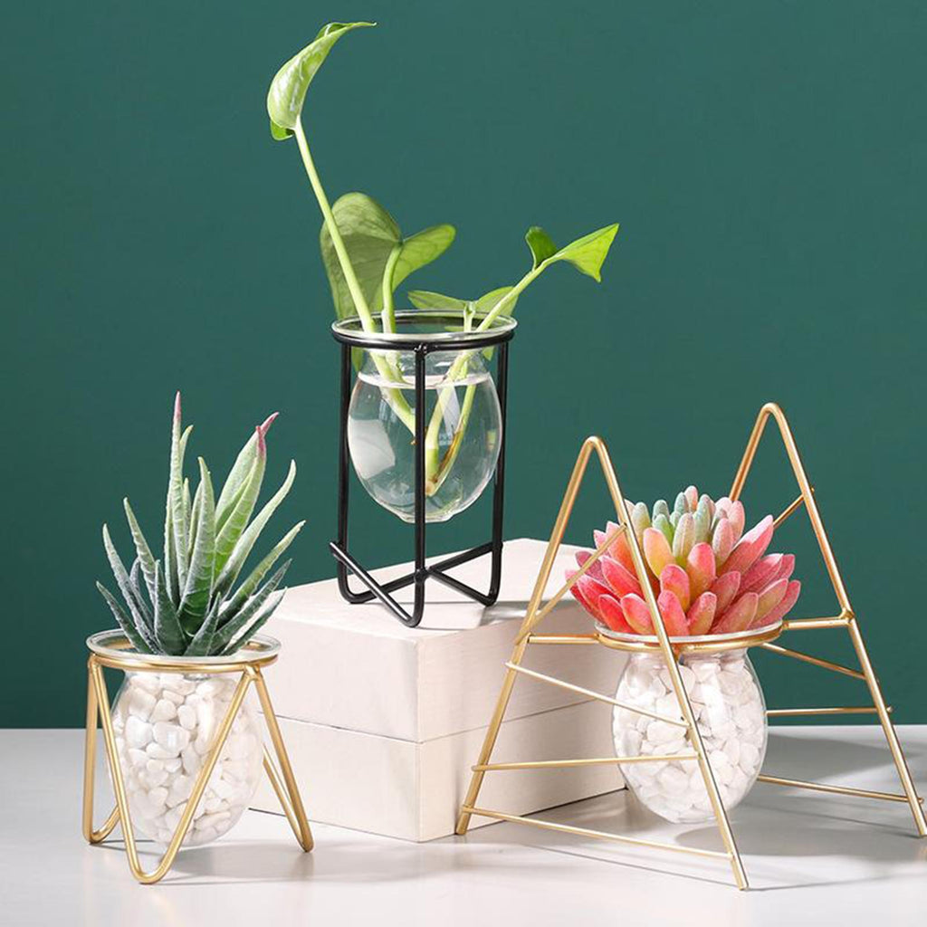 ⚡️Buy Maxbell Hydroponic Plant Glass Vase Bonsai Flower Pot Frame Home  Decor Short at the best price with offers in India. Maxbell Hydroponic  Plant Glass Vase Bonsai Flower Pot Frame Home Decor