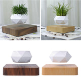 Maxbell Levitating Air Plant Pot Bonsai Suspension Floating Flower Pot Planter Deep